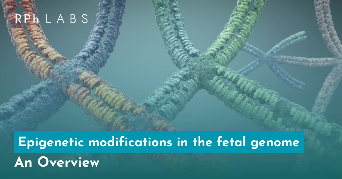Epigenetic Modifications in the Fetal Genome