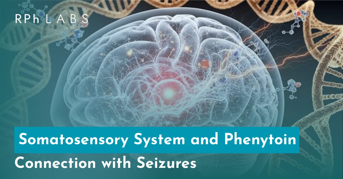 Somatosensory System and Phenytoin: Connection with Seizures
