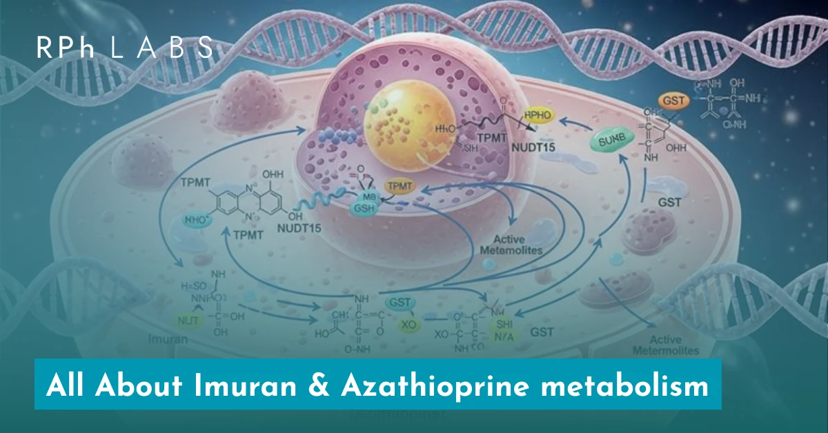 All About Imuran & Azathioprine Metabolism