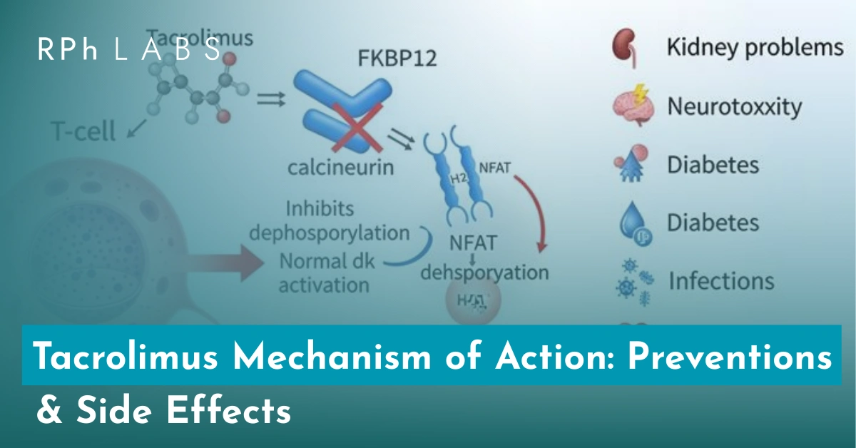 Tacrolimus Mechanism of Action: Preventions & Side Effects