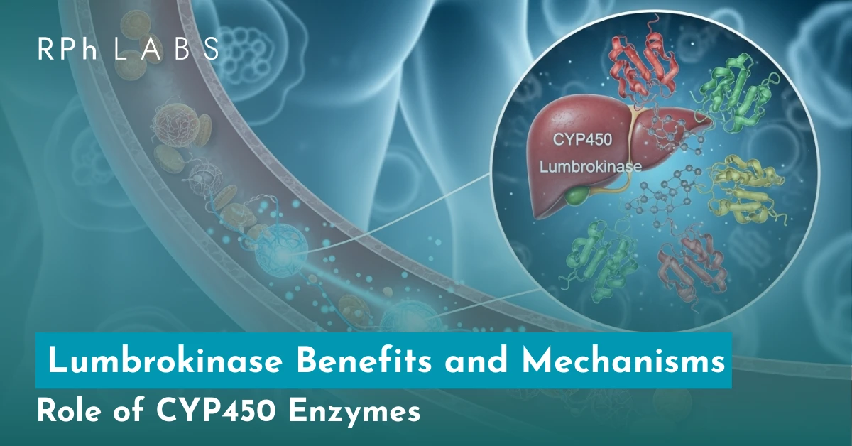 Lumbrokinase Benefits and Mechanisms I Role of CYP450 Enzymes